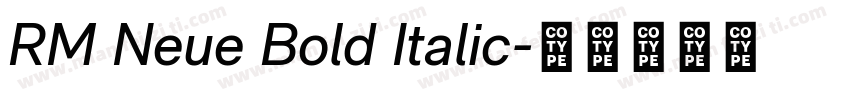 RM Neue Bold Italic字体转换